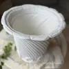 もくれん 画像3