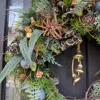 ノエル・エトワール― 星降る森のクリスマス ― 画像2