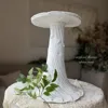 王妃花台 画像1